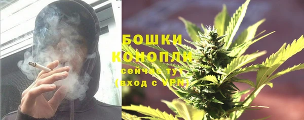 соль ск Абаза