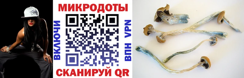 Галлюциногенные грибы мицелий  наркота  Азов 
